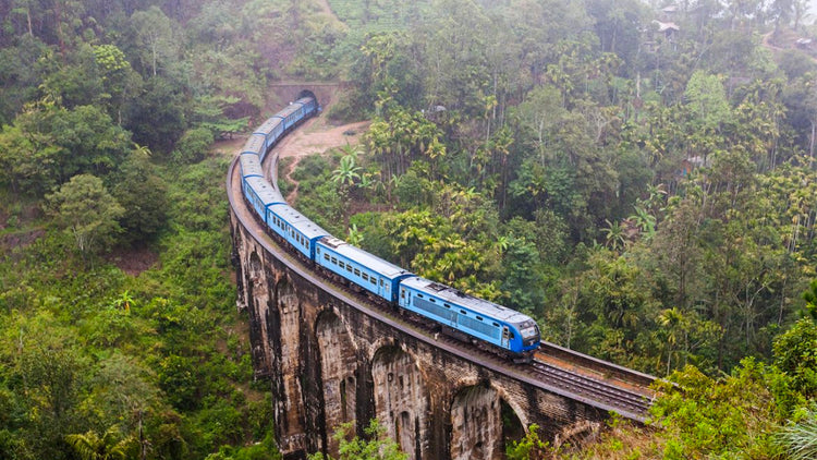 Podi Menike Train