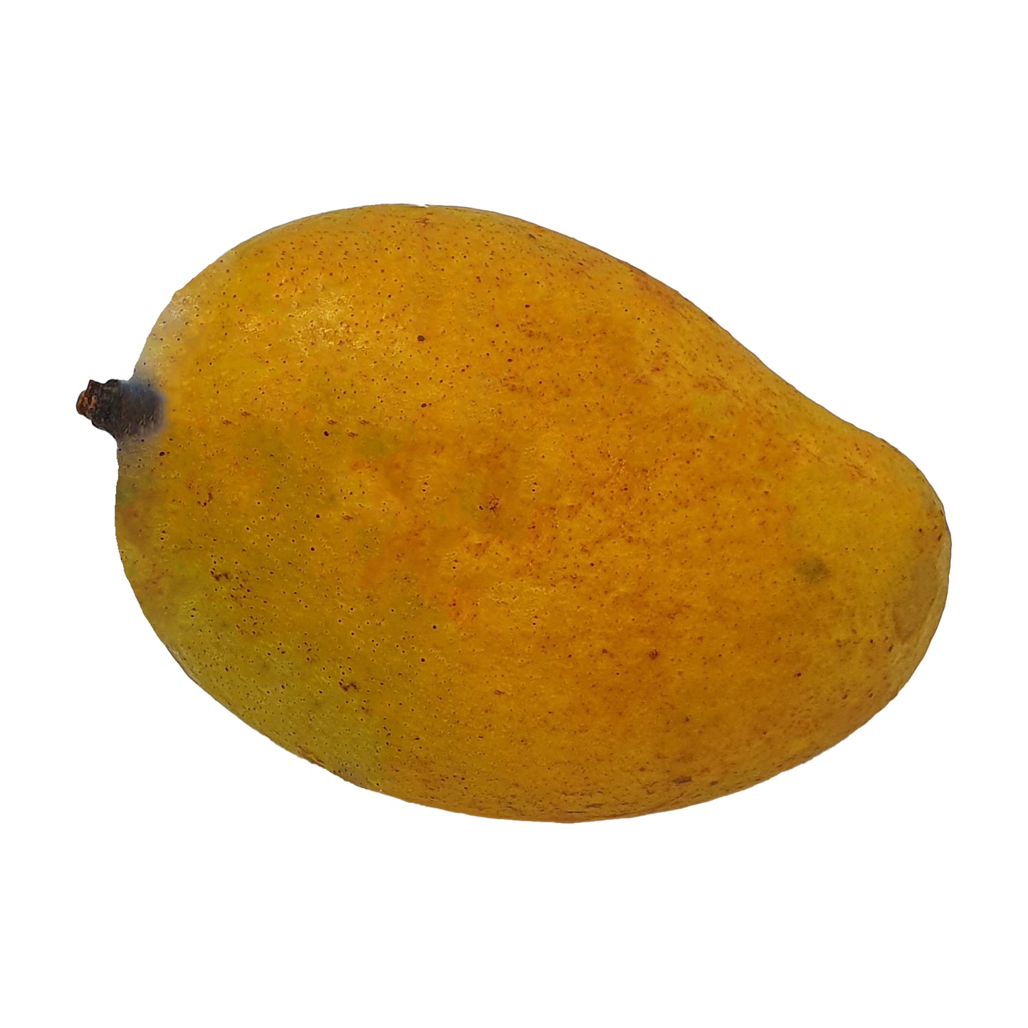 Alphonso Mango (1 kg)