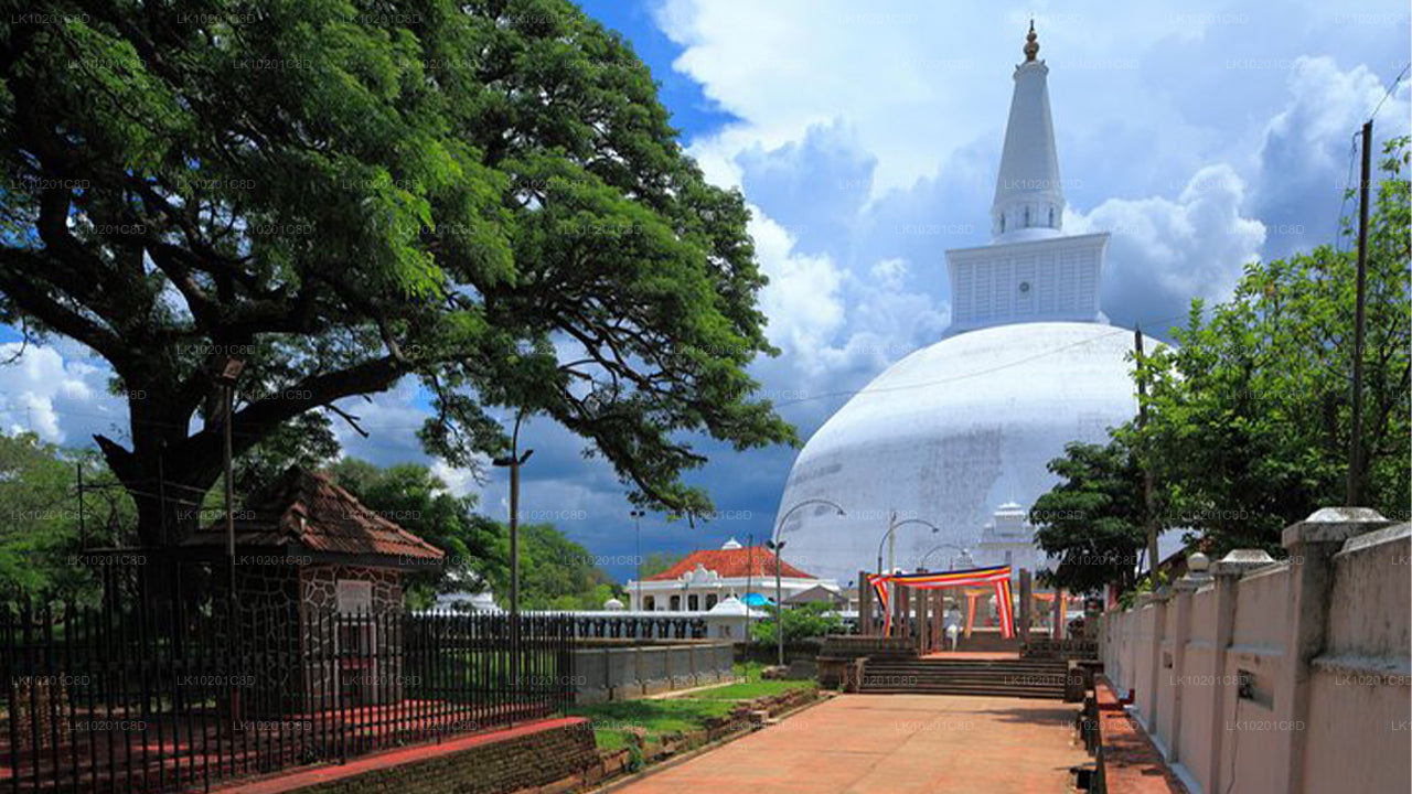 Wilpattu and Anuradhapura from Colombo (2 Days)