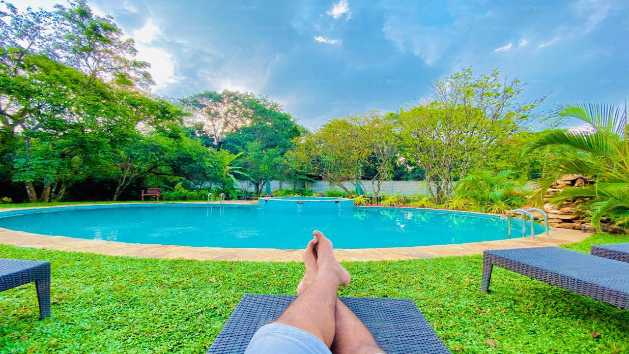 Sigiri Heritage Villa, Sigiriya