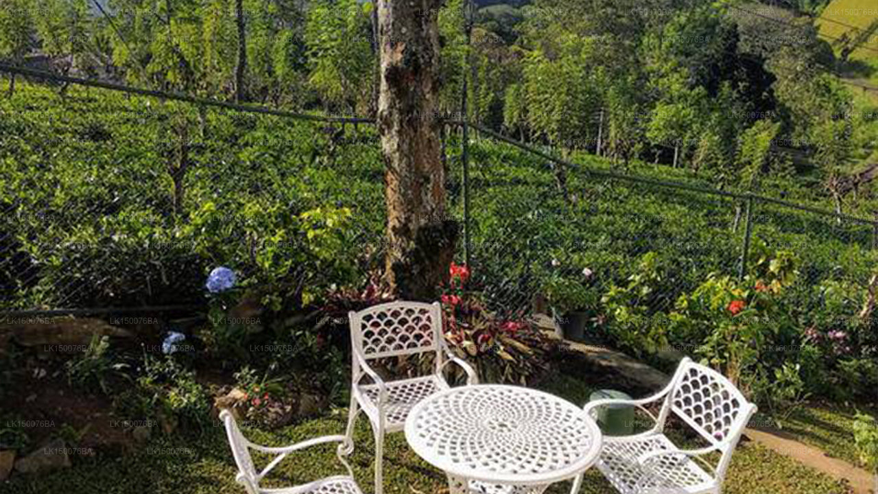 Ferienbungalow, Bandarawela