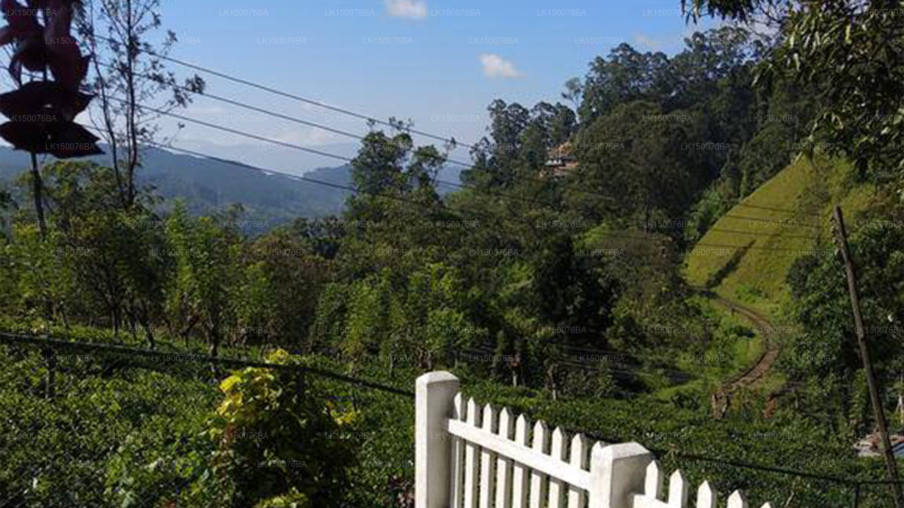 Ferienbungalow, Bandarawela