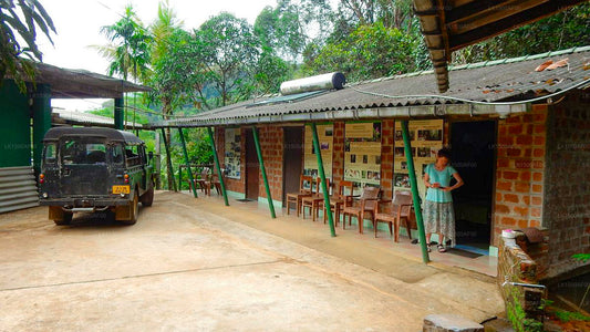 Martin's Lodge, Sinharaja