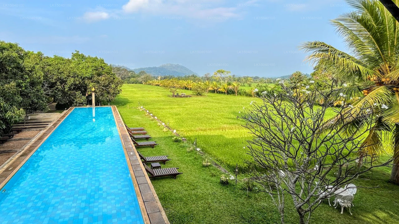 Thilanka Resort and Spa, Dambulla