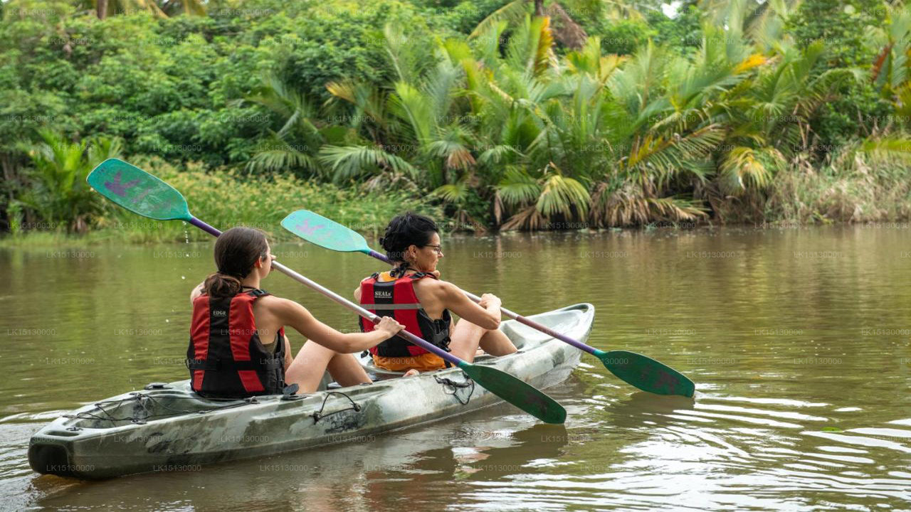 Ging Oya Lodge, Waikkal