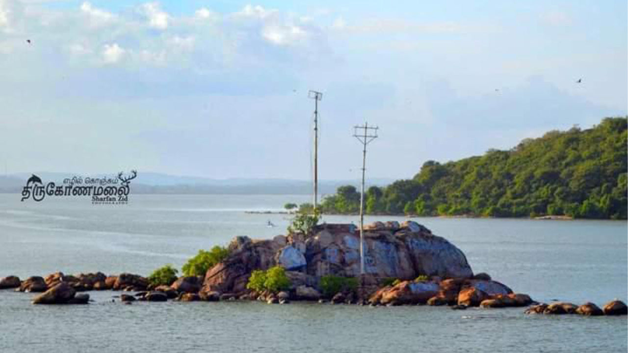 Uppuveli Strandhaus, Trincomalee