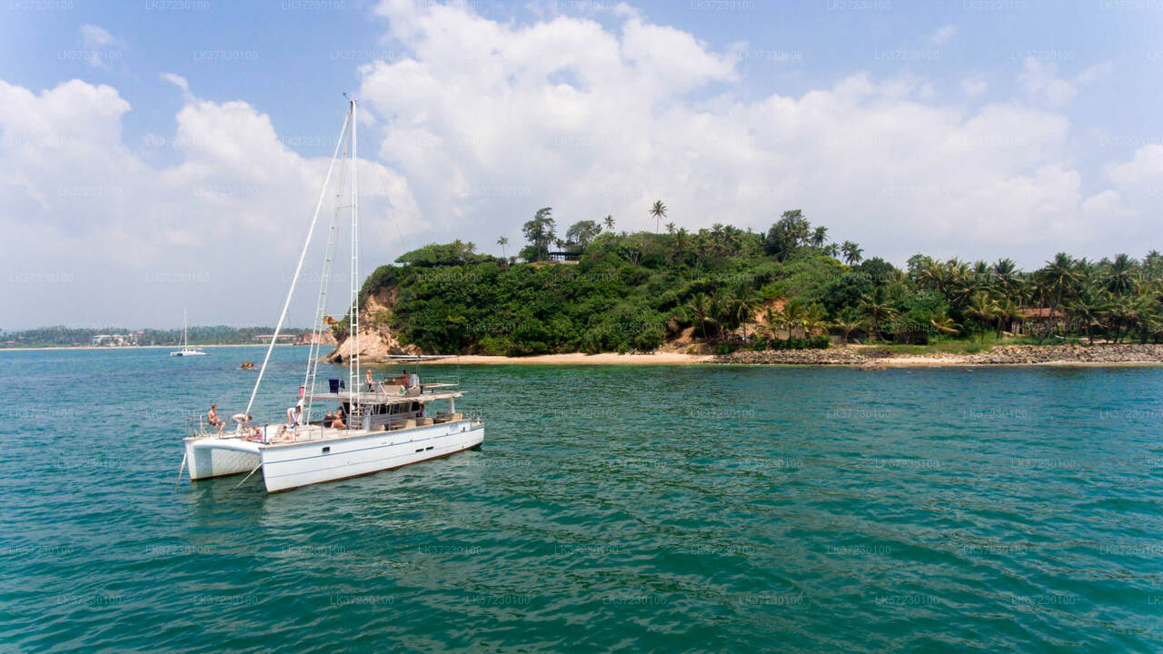 Bootstour zur Walbeobachtung vom Seehafen Trincomalee