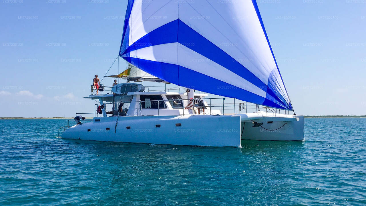 Bootstour zur Walbeobachtung vom Seehafen Trincomalee