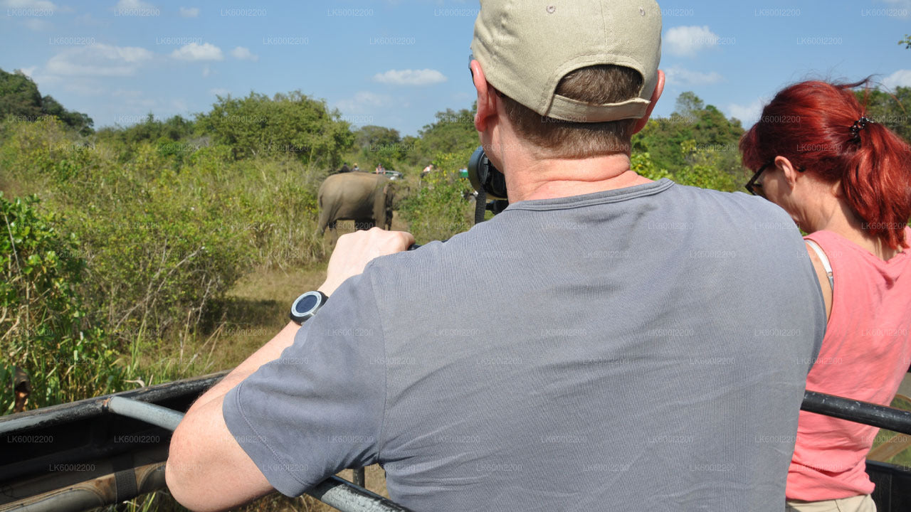 Wilpattu-Nationalpark-Safari ab Dambulla