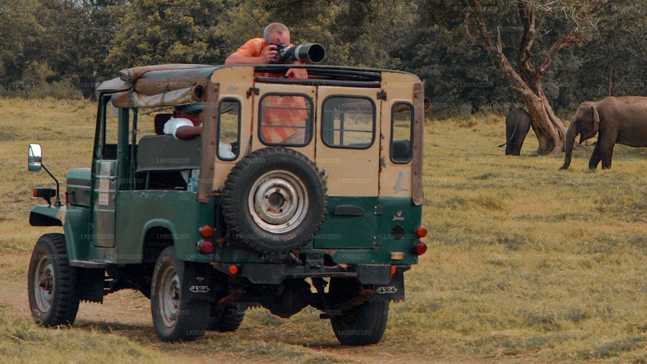 Wilpattu-Nationalpark-Safari ab Dambulla