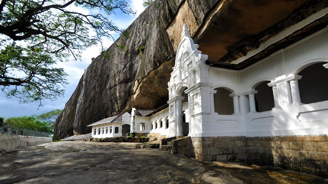 Sigiriya-Felsen- und Wildelefantensafari ab Colombo