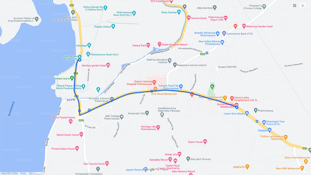 Erkunden Sie das Affenreich von Polonnaruwa aus