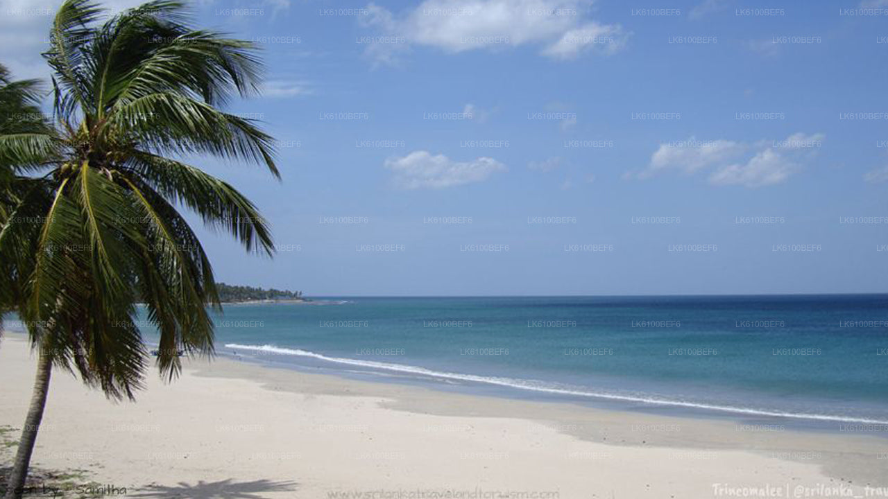 Stadtrundfahrt durch Trincomalee vom Seehafen Trincomalee