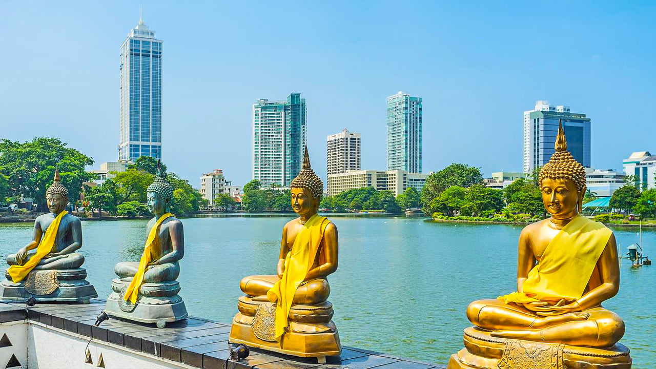 Stadtrundfahrt durch Colombo