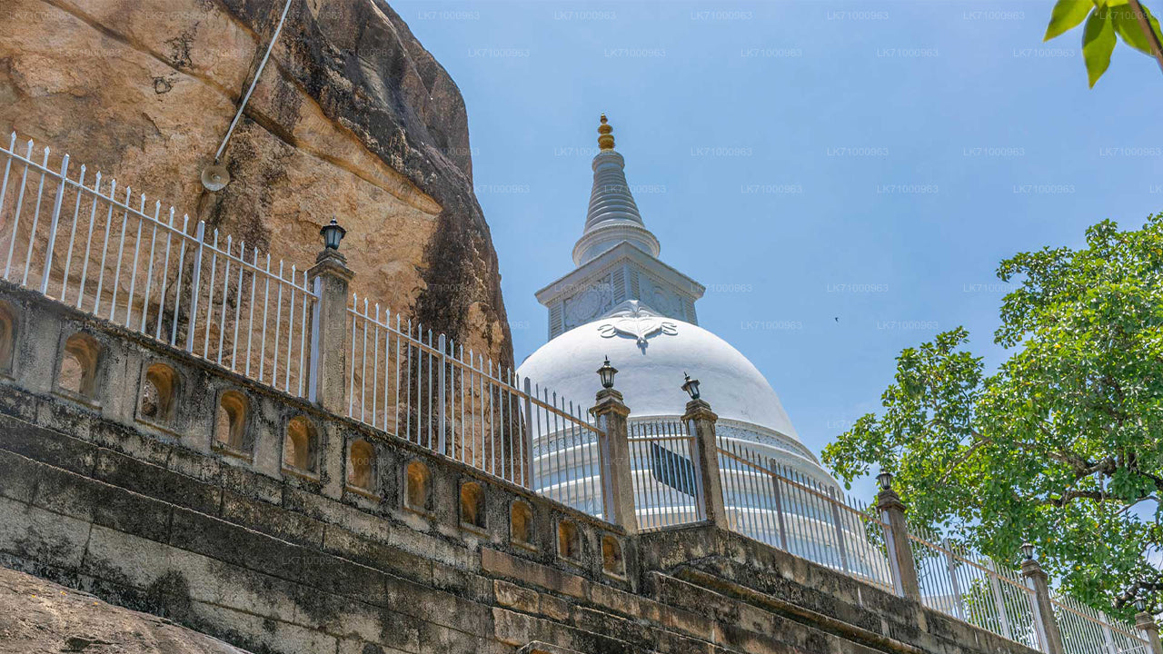 Isurumuniya Temple Entrance Tickets