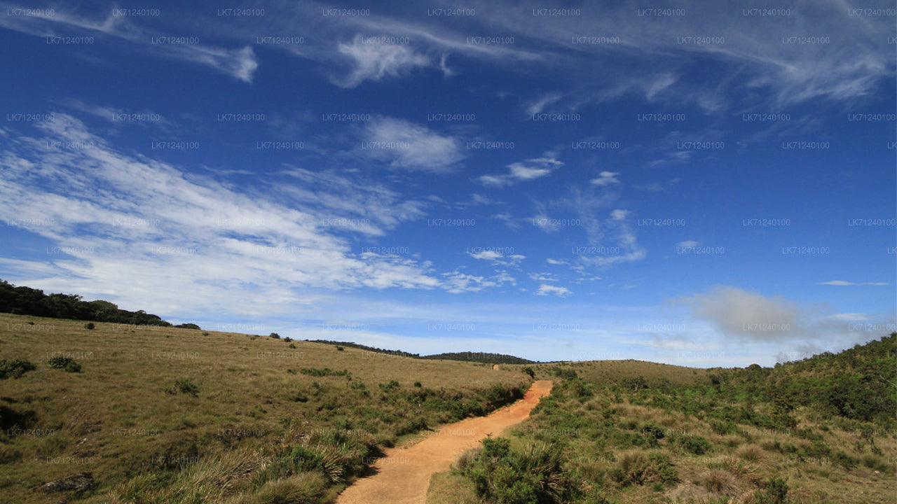 Eintrittskarte für den Horton-Plains-Nationalpark