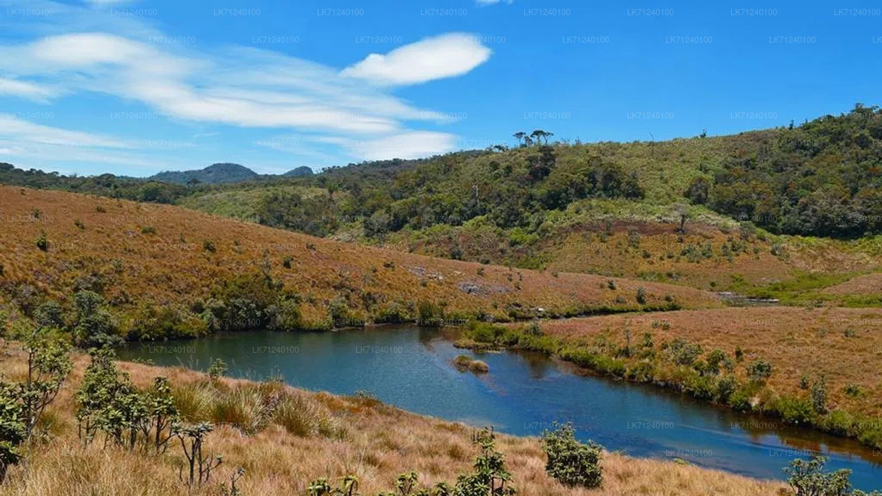 Eintrittskarte für den Horton-Plains-Nationalpark