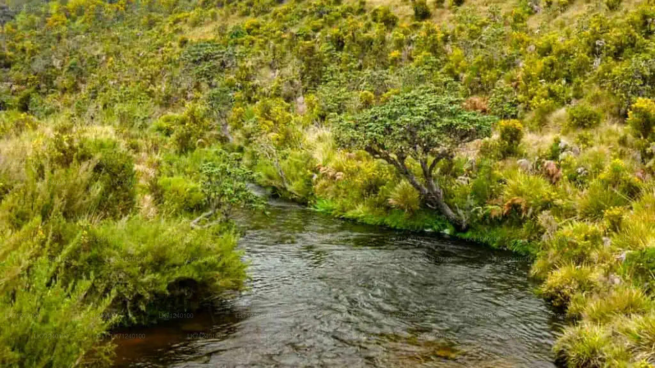 Eintrittskarte für den Horton-Plains-Nationalpark