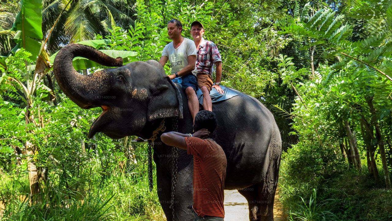 Eintrittskarten für die Millennium Elephant Foundation