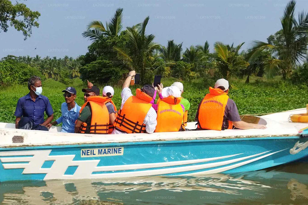 Walawe River Jungle Boat Safari