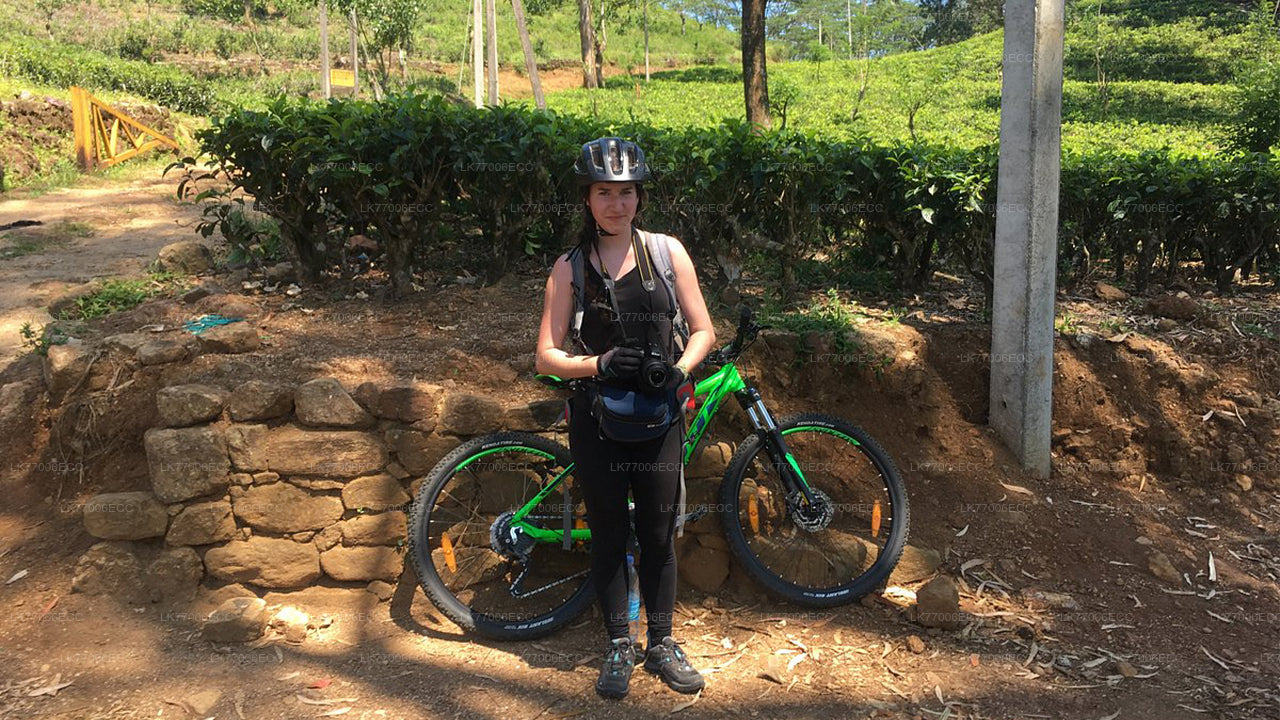 Adventure Mountain Biking from Kandy