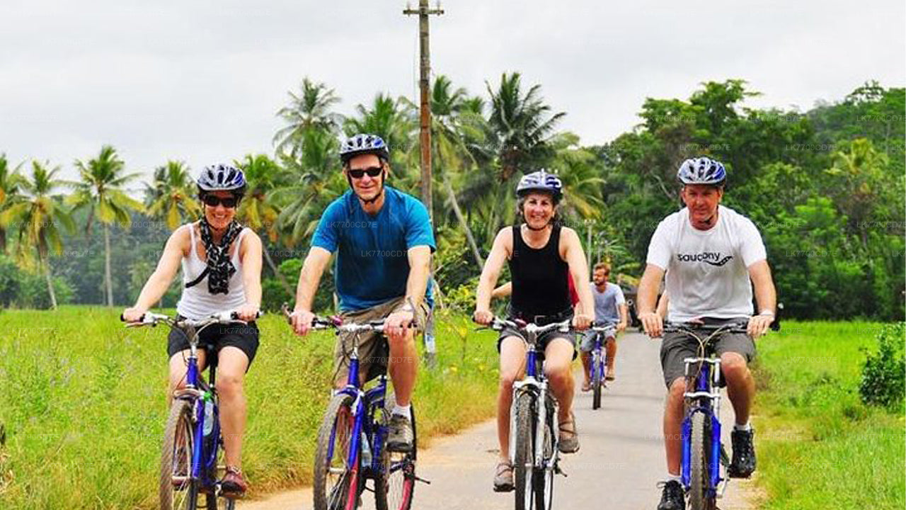 Unterhaltsame Radtour mit der Familie ab Galle