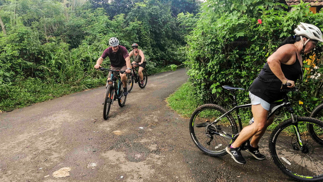 Unterhaltsame Radtour mit der Familie ab Galle