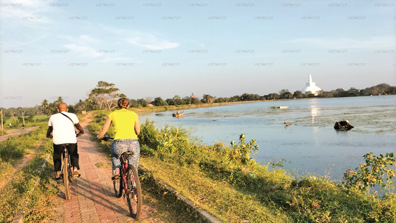 Radfahren ab Anuradhapura