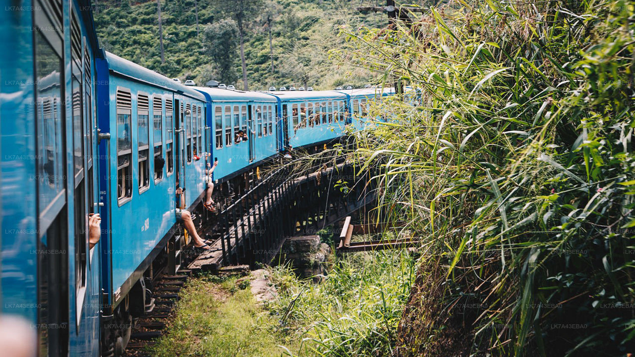 Reservierung von Bahntickets von Kandy nach Ella, Nanu Oya und Badulla