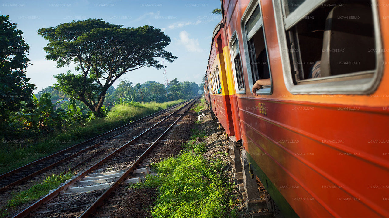 Reservierung von Bahntickets von Kandy nach Ella, Nanu Oya und Badulla