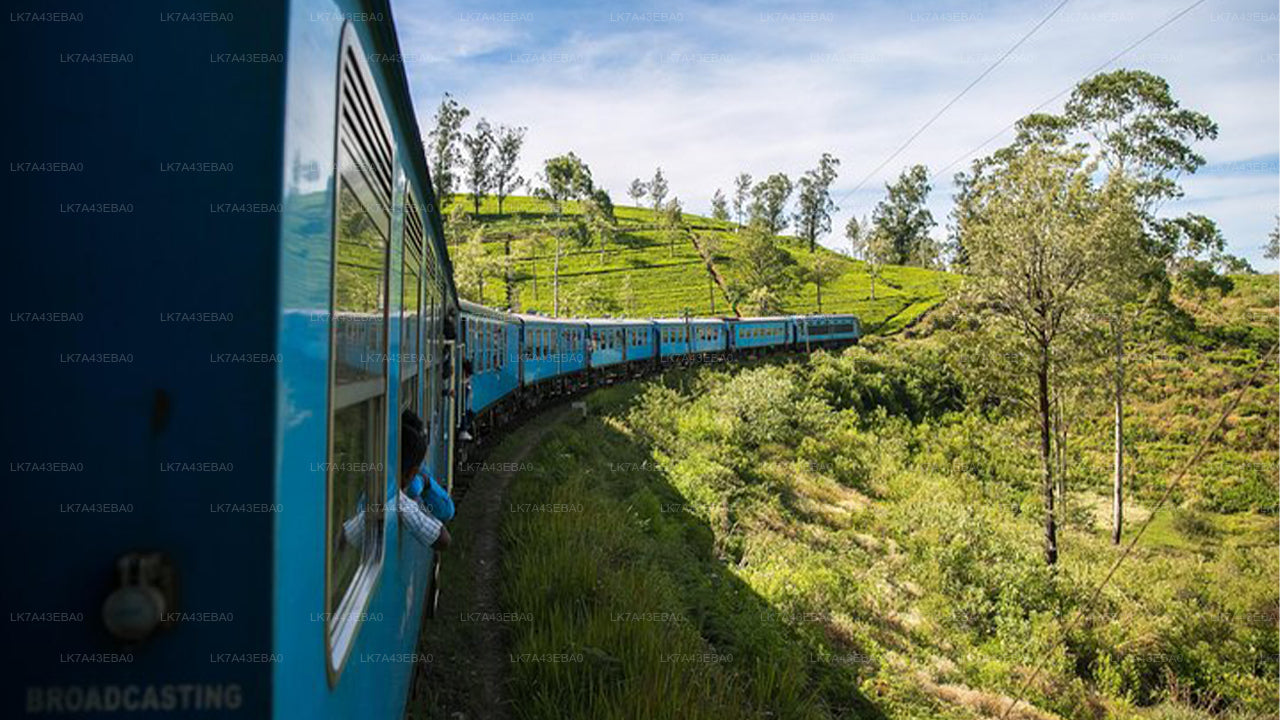 Reservierung von Bahntickets von Kandy nach Ella, Nanu Oya und Badulla