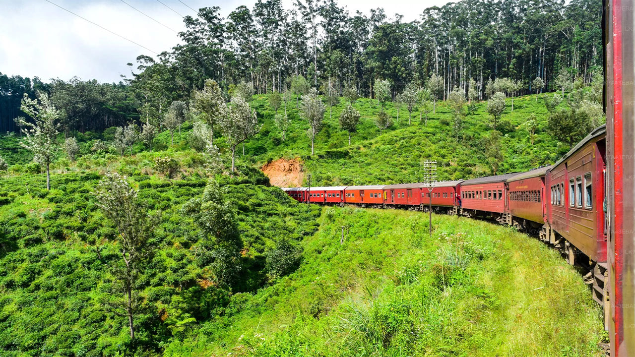 Reservierung von Bahntickets von Kandy nach Ella, Nanu Oya und Badulla