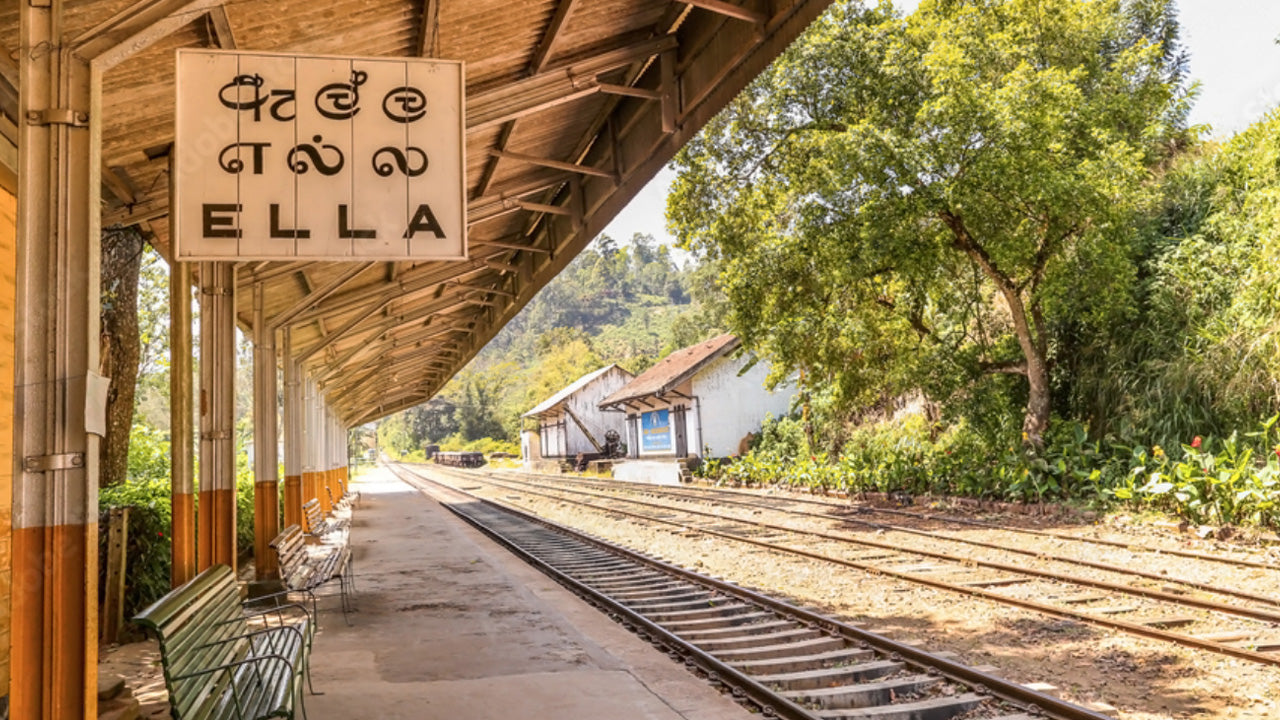 Zugfahrt von Nanu Oya nach Ella mit dem Zug Nr. 1041 „Ella Odyssey“)