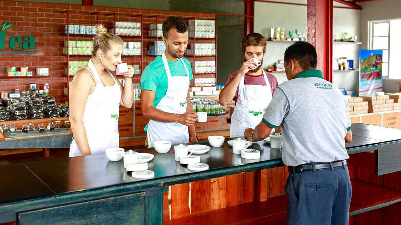 Ceylon-Teeverkostung in Colombo