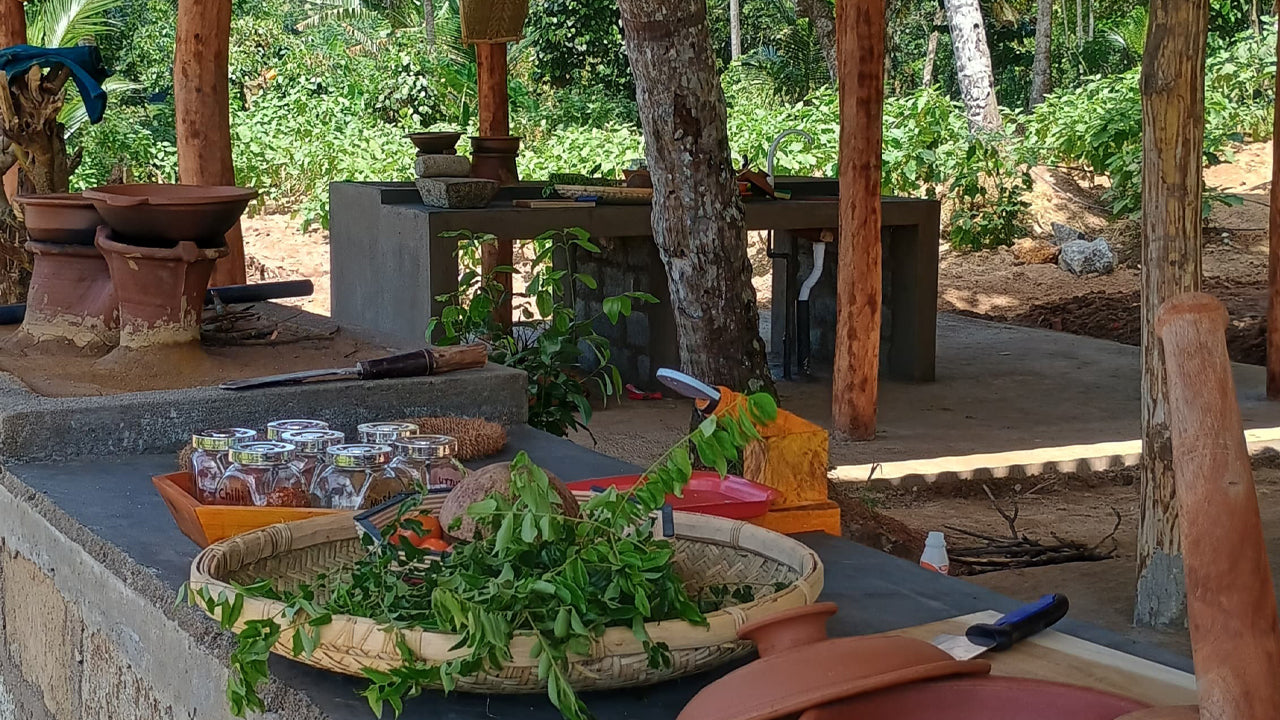 Entdecken Sie die Biodiversität auf der Midigama Fruit Farm