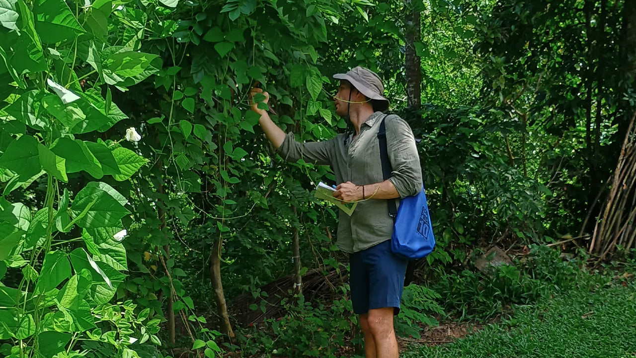 Entdecken Sie die Biodiversität auf der Midigama Fruit Farm