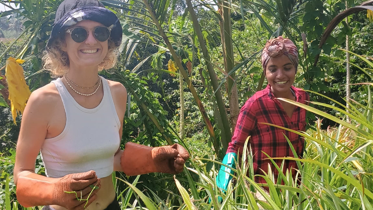 Entdecken Sie die Biodiversität auf der Midigama Fruit Farm