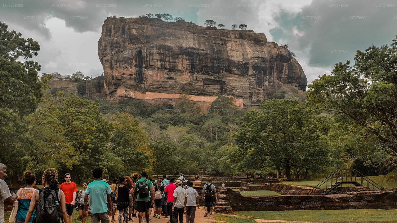 Sigiriya-Felsen- und Wildelefantensafari ab Colombo