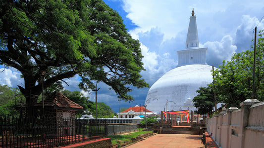 Anuradhapura und Mihintale von Dambulla