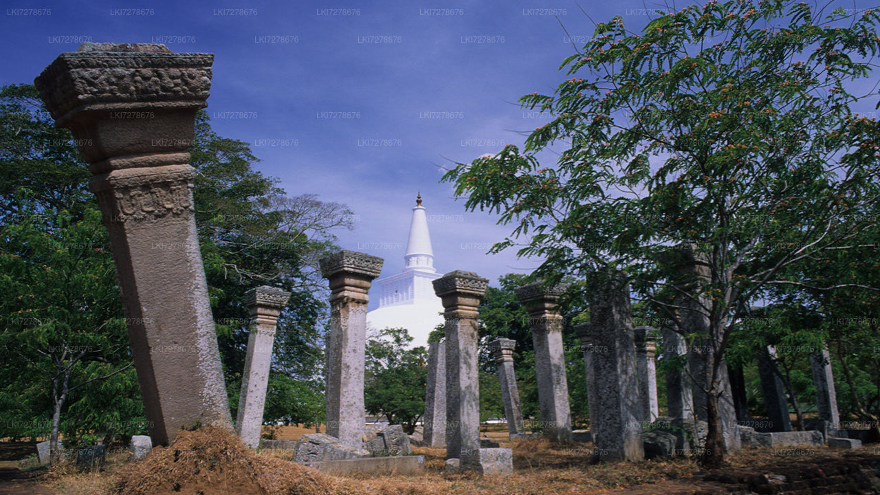 Anuradhapura und Mihintale von Dambulla