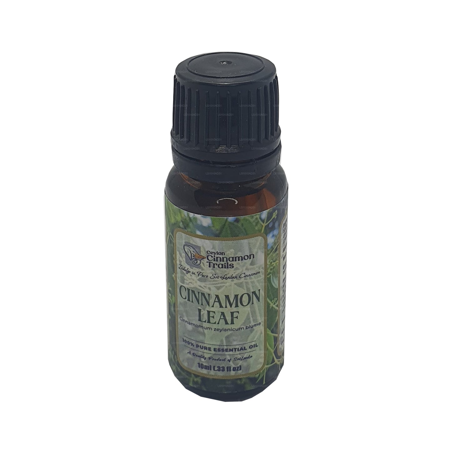 Ätherisches Zimtblattöl von Ceylon Cinnamon Trails (10 ml)