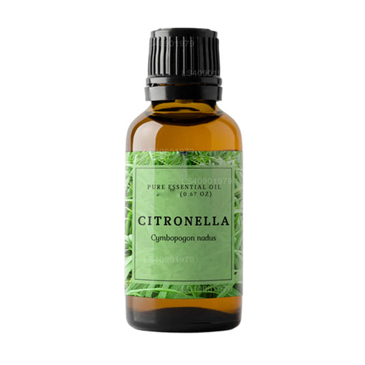 Lakpura Citronella Ätherisches Öl (15 ml)
