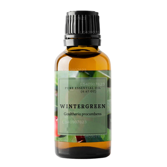 Lakpura Wintergreen Ätherisches Öl (15 ml)