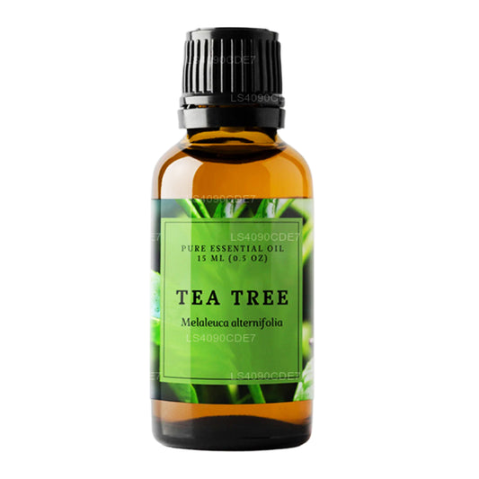 Ätherisches Lakpura-Teebaumöl (15 ml)