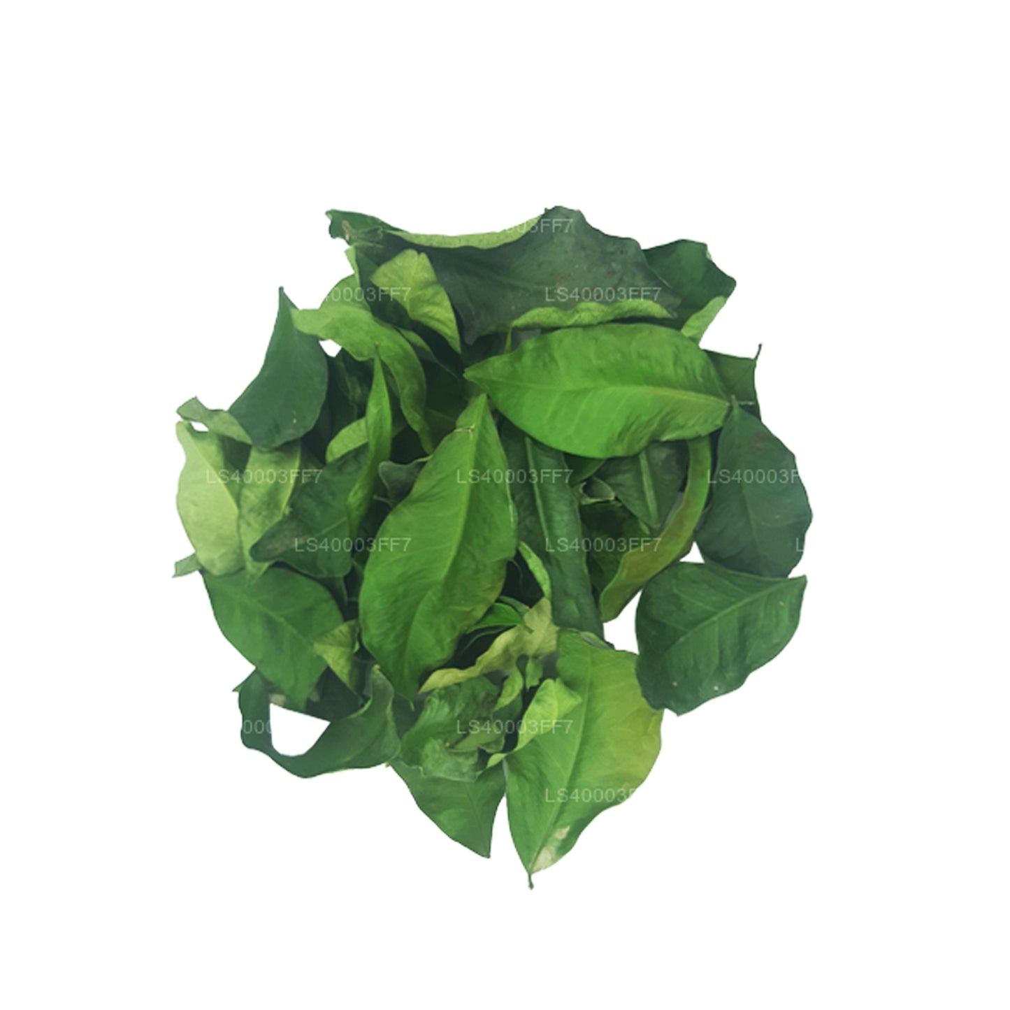 Lakpura Dehydrierte Yaki Naran-Blätter (Atalantia Ceylanica) (100 g)