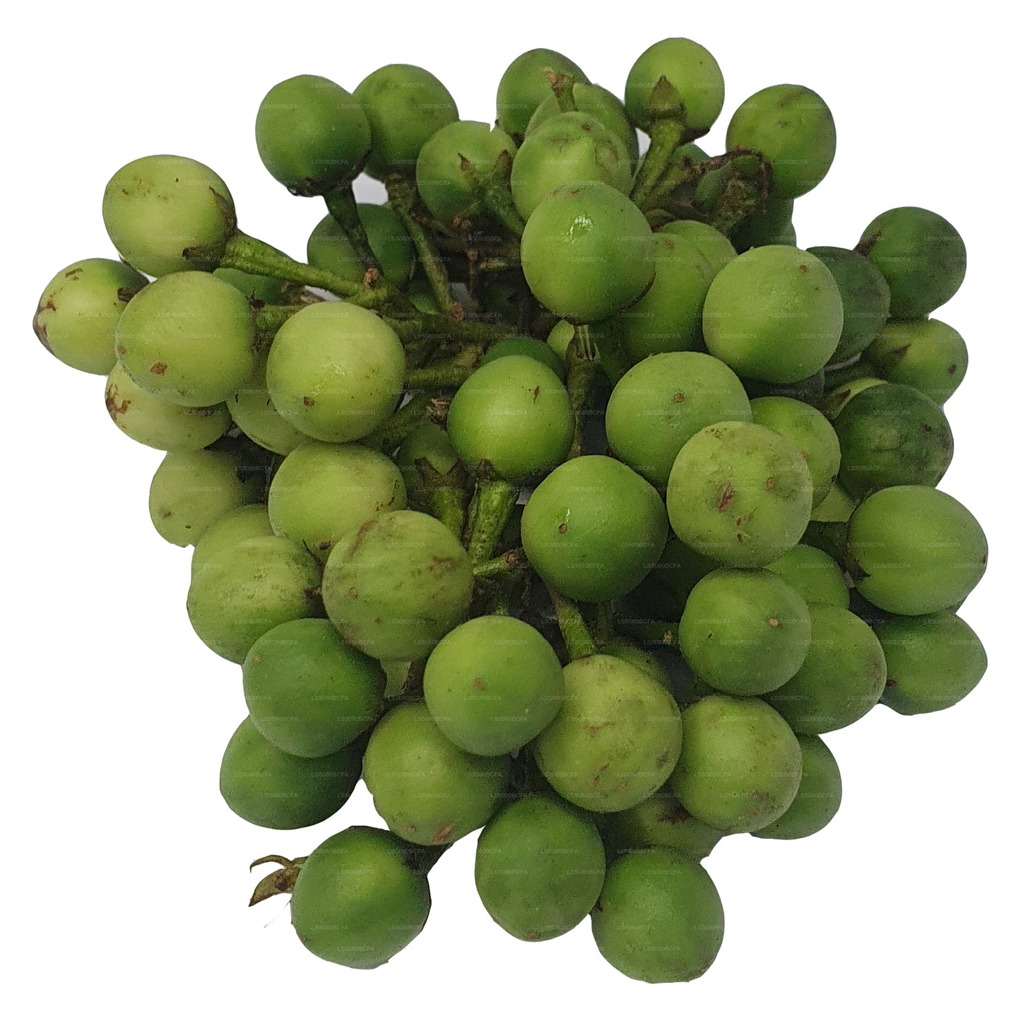 Lakpura Thibbatu (500g)