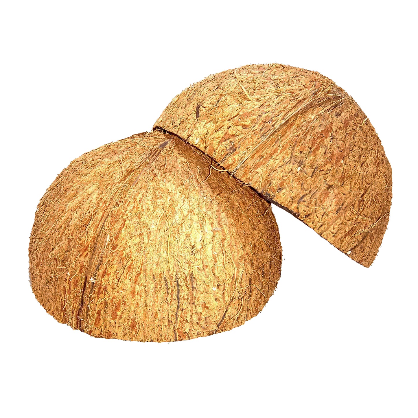 Kokosnussschalenhälften (2 Stück)