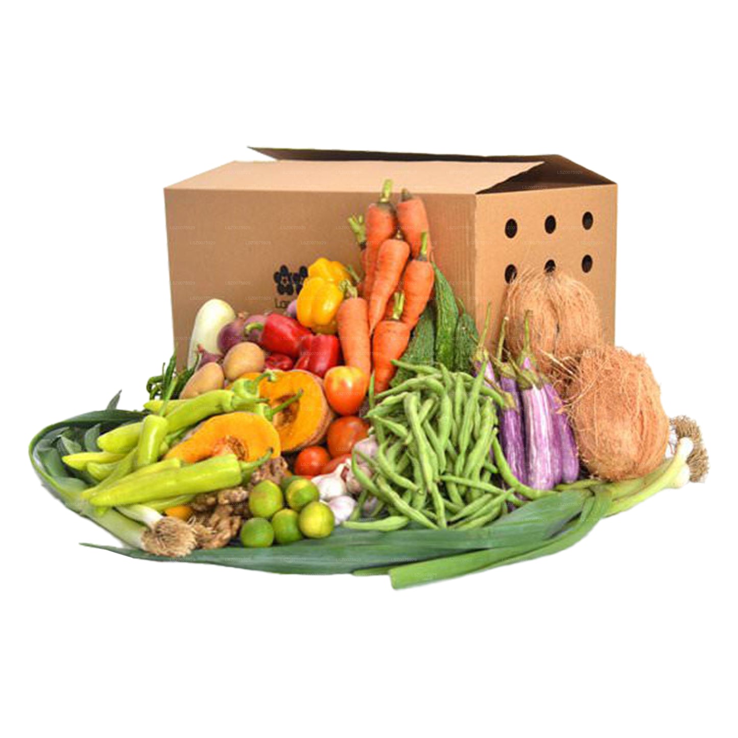 Veggie-Delight-Paket