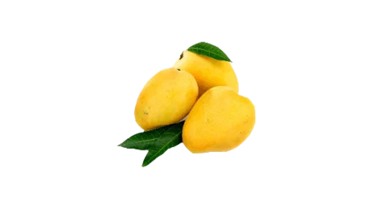 Bangkok Yellow Mango (බැංකොක් කහ අඹ (බද්ධ) Obstpflanze