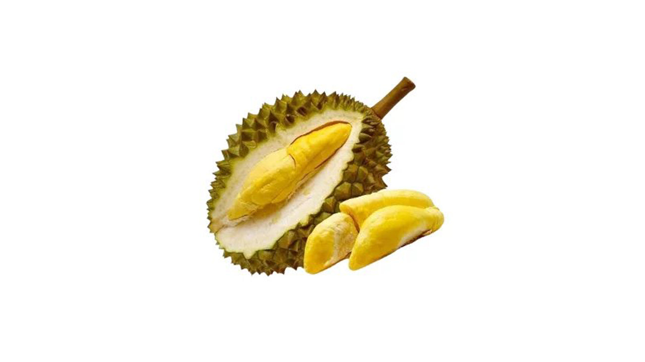 Durian ( දූරියන් – කසුන් (බද්ධ) Obstpflanze